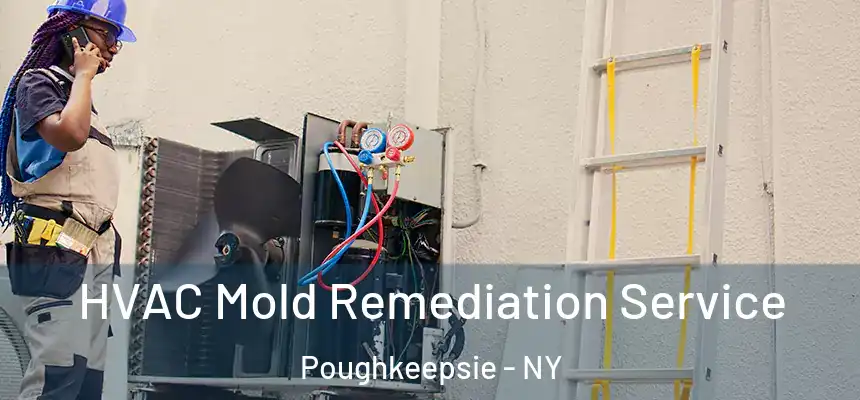  HVAC Mold Remediation Service Poughkeepsie - NY