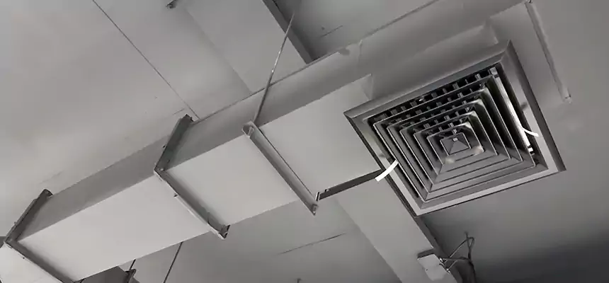 Our Rodent Droppings In Vents Services in Poughkeepsie, NY