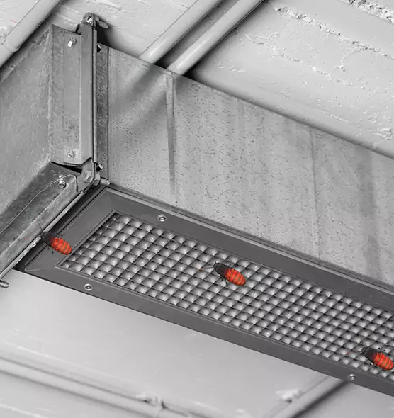About Air Duct Cockroach Removal in Poughkeepsie, NY