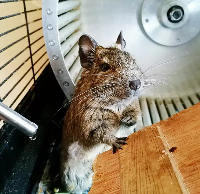 Why Homeowners & Businesses Trust Us Poughkeepsie, NY